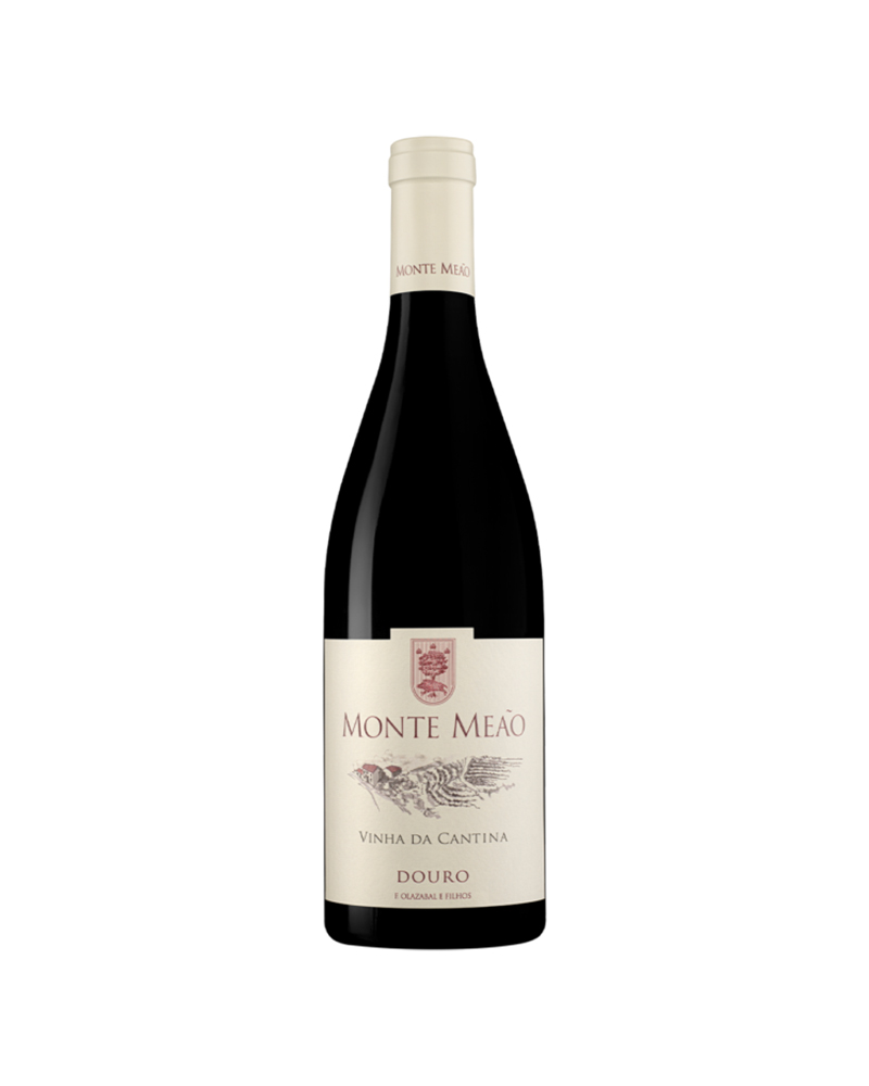 Monte Meão Vinha da Cantina | Tinto Douro 2019